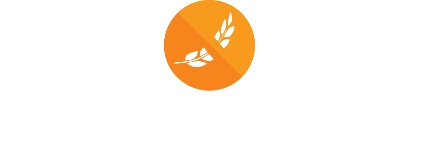 logo-estandar